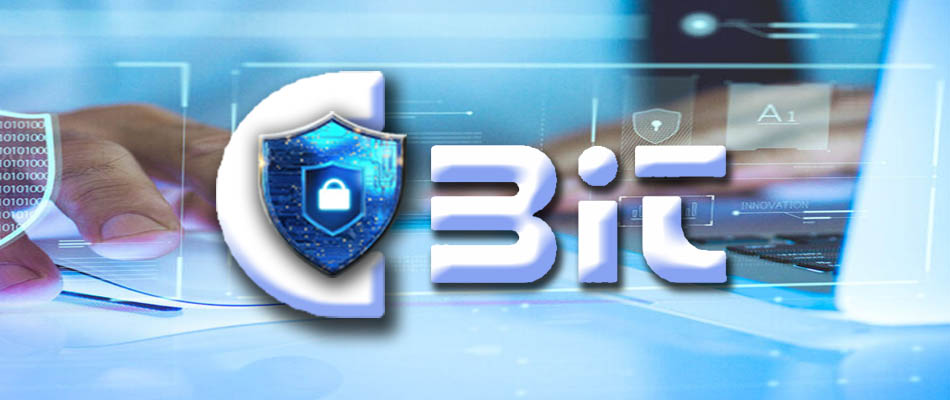 內部稽核系統截圖